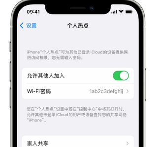 象山apple服务站点分享iPhone上个人热点丢失了怎么办