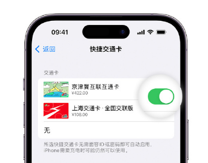 象山apple维修点分享iPhone上更换Apple Pay快捷交通卡手绘卡面 