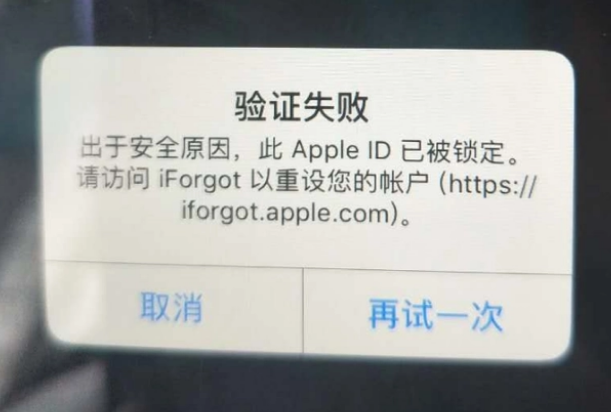 象山iPhone维修分享iPhone上正常登录或使用AppleID怎么办 