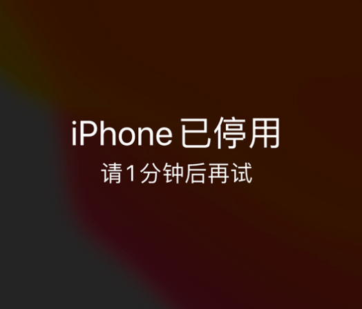 象山苹果手机维修分享:iPhone 显示“不可用”或“已停用”怎么办？还能保留数据吗？ 