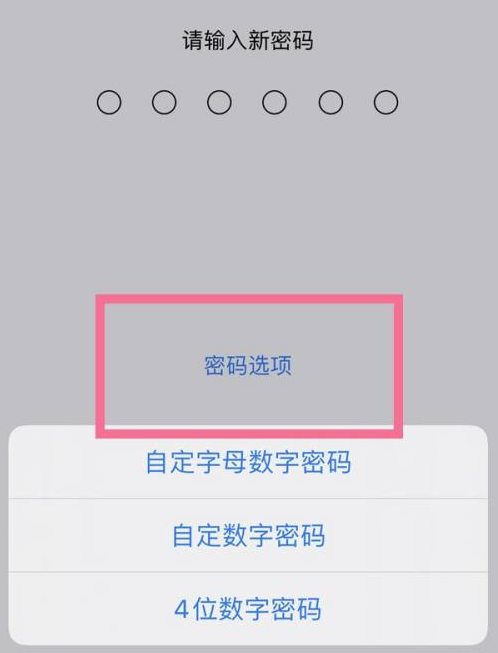 象山苹果14维修分享iPhone 14plus设置密码的方法 