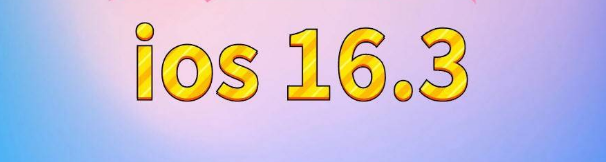 象山苹果服务网点分享苹果iOS16.3升级反馈汇总 