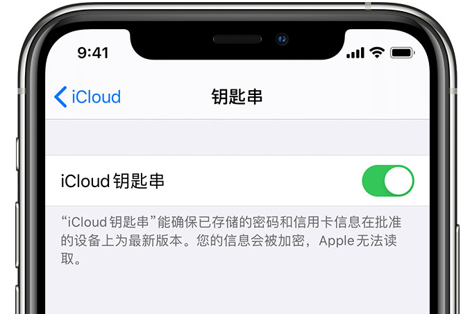 象山苹果手机维修分享在 iPhone 上开启 iCloud 钥匙串之后会储存哪些信息 