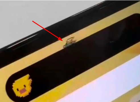 象山苹果14维修分享iPhone 14 Pro Max灵动岛怎么养宠物 