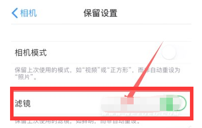 象山苹果13维修分享iPhone13拍照有绿点是怎么回事 